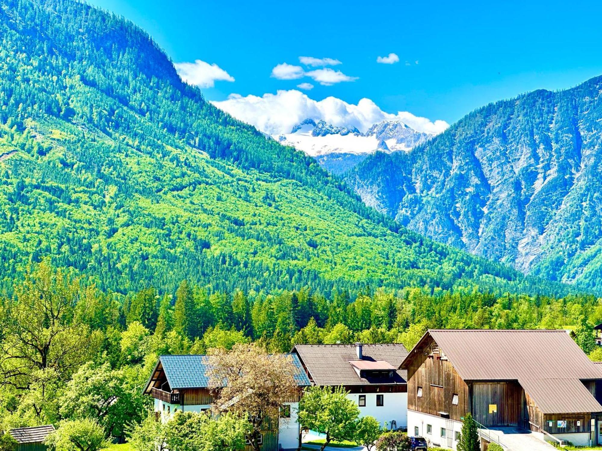 Das Alpenzeit Appartement Mit Just Private Terrasse (Adults Only) Бад Аузее Екстериор снимка